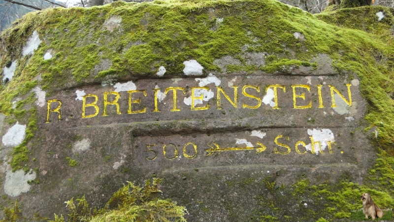 Ritterstein Nr. 113-1 R. Breitenstein 500 Schr..JPG - Ritterstein Nr.113  R. Breitenstein 500 Schr.                             